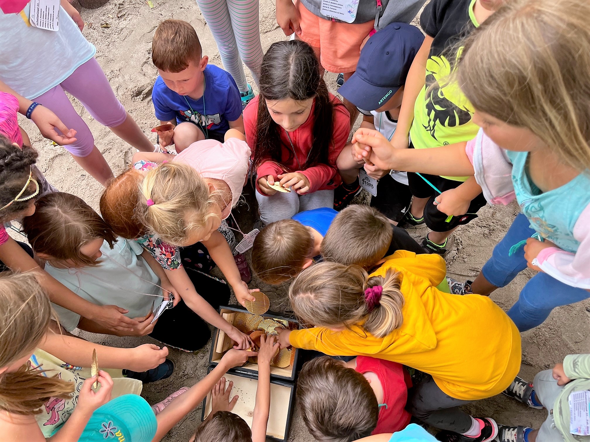 Siedler – Schnitzeljagd 5