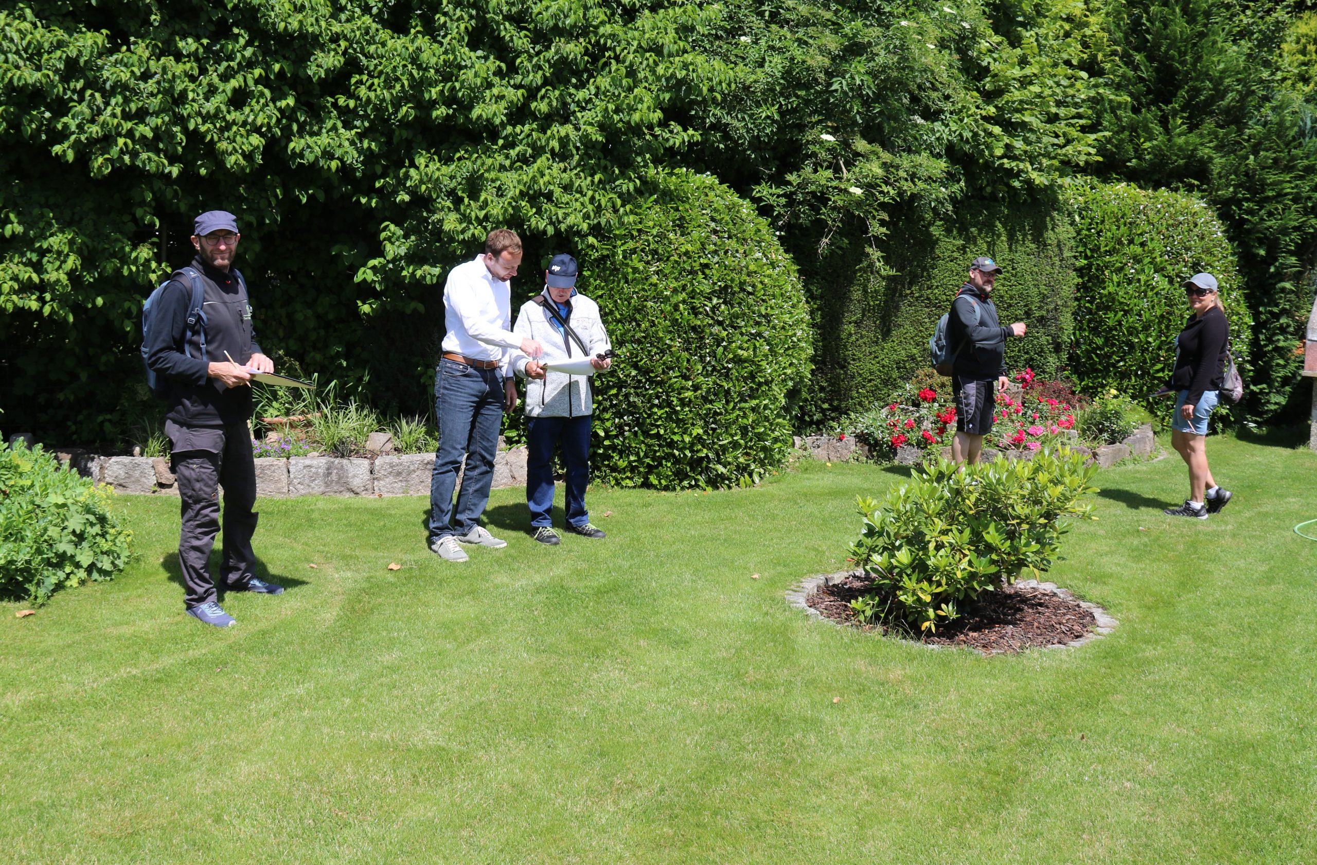 Siedler Gartenwettbewerb 2024